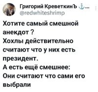 А они действительно сами его выбрали. Кто им его подсунул – другой вопрос. Но голосовали они за него совершенно искренне. "По Сеньке и шапка".