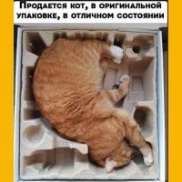 Да конечно, куча деталей растеряна.