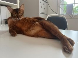 Но мы его сделаем.