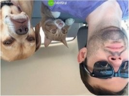 Весёлые картинки