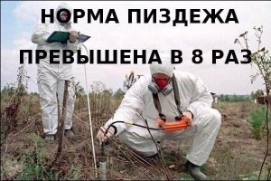 «Всю еду я нахожу в мусорных баках — не покупаю продукты уже четыре года»