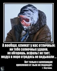 Туристку в Таиланде ужалило самое ядовитое существо на Земле