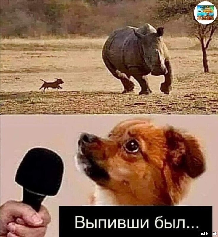 Просто гифки, всякие и&nbsp;разные