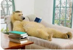Не, это работает, только если вы в костюме белого медведя не побежите марафон.