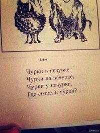 В Мытищах задержали вахабитку Тахмину Самадову