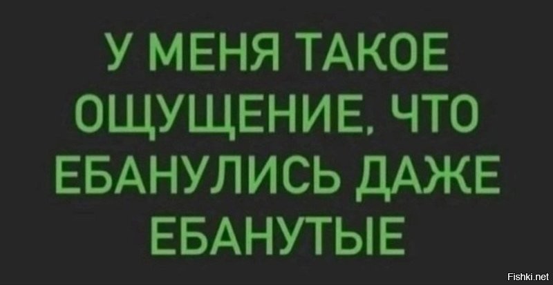 Песни Газманова и Шамана начнут изучать в школах