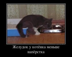 Большая порция улыбатора