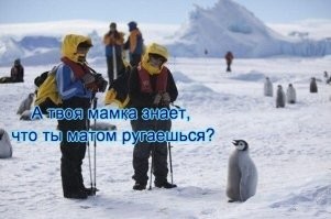 Небанальные факты об Антарктиде, о которых мало кто догадывается