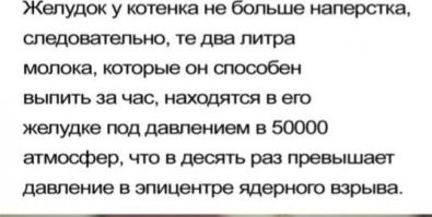 Большая порция улыбатора