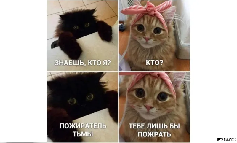 Предложение, от которого сложно отказаться