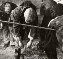 Можно было и за два пенса переночевать.