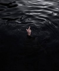 Крокодилы изображают тонущего, чтобы заманить к себе людей? Разбор популярного видео