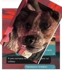 Большая порция улыбатора