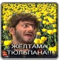 Большая порция улыбатора