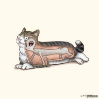 14 фотографий, которые показывают, как знакомые нам объекты выглядят изнутри