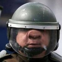 Почему бычара в открытом кузове без шлема !?
