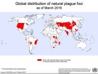 Что человечество? 
Чума никуда не пропала, вот карта 2016 года.