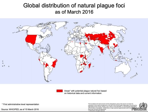 Что человечество? 
Чума никуда не пропала, вот карта 2016 года.