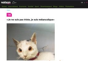 Скрин с древней подборки а-ля "20 творений упоротых таксидермистов". Но в умении парея создавать себе вирусную рекламу я не сомневаюсь. Даже интересно прсмотреть что дальше придумает)