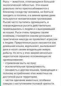 Шутки бывают разные