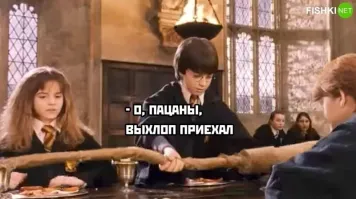 Сова залетела в школьный класс в Красноярске