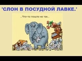 В Китае слон проник на частную территорию и устроил погром
