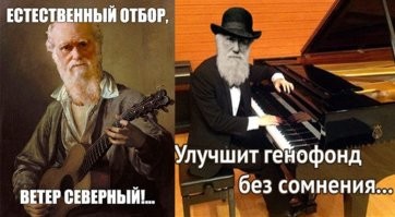 Родитель прокатился на коньках с ребёнком в коляске