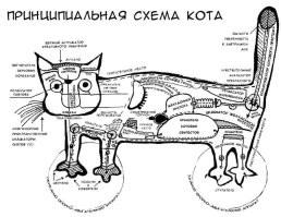 Шутки бывают разные