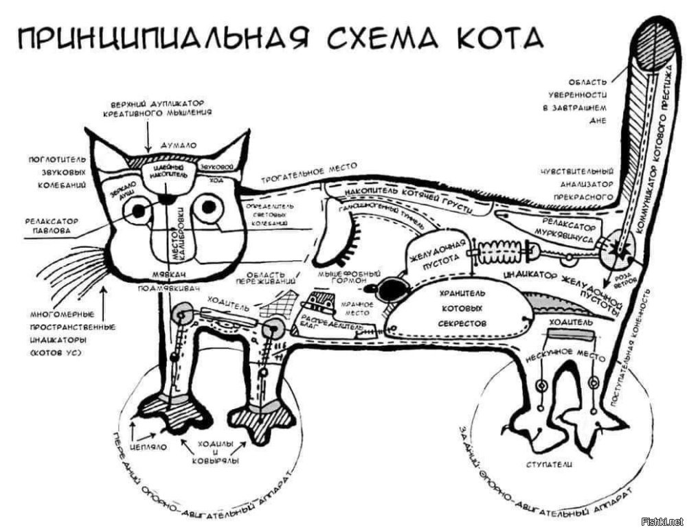 Шутки бывают разные