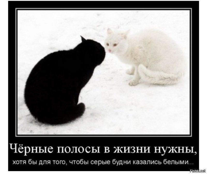 Кризисы приходят и проходят, надо верить в хороше