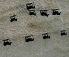 Большая порция улыбатора