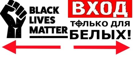 Собаки рассортировали уток по цветам
