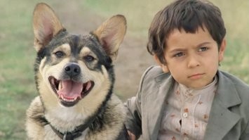 Собака решила присоединиться к процедурам хозяйки