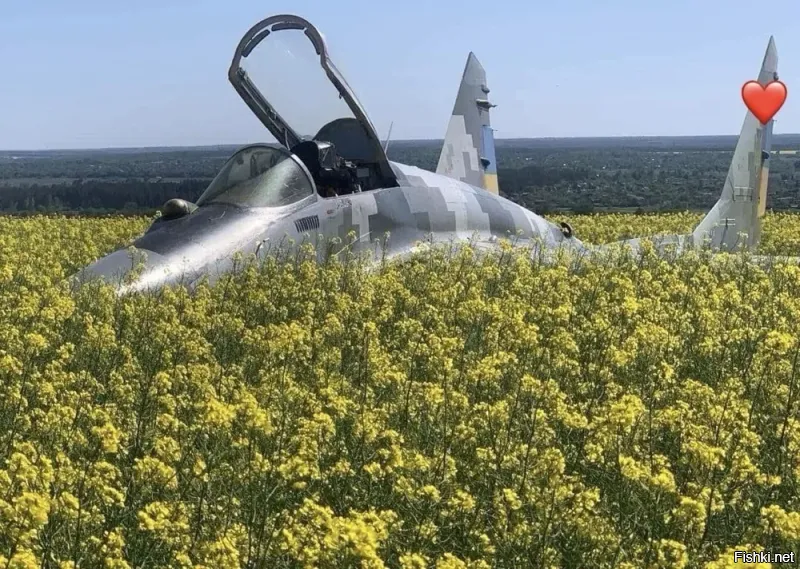 А чё хохляцкий дристалёт сердечком закрыли . Стыдно ))))))