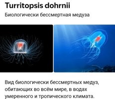 Возможно, кроме: