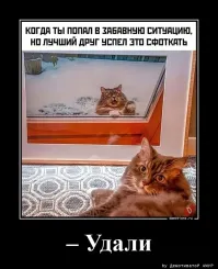 Ксюля прилетела