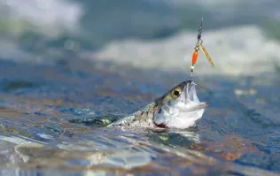 у мужчин свои крючки)