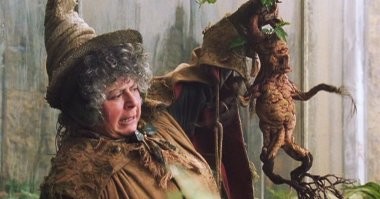 Фигня, в Хоргвартсе жрали, и ничего...