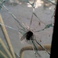 Старая муха самоотверженно билась башкой о стекло. Наверно, часа полтора. Отлетала назад, разворачивалась и, свирепо жужжа, бесстрашно шла на таран.
По другую сторону окна, там сидела молодая, зеленая еще муха и полтора часа, затаив дыхание, глядела на то, что делает старая. Правда, молодая никак не могла взять в толк, зачем пробивать головой стекло, когда рядом открыто окно настежь.
Два часа героически сражалась старая муха. Уже стекло вроде дрогнуло, но и муха упала без сил. По пластунски добралась до открытого окна, перевалилась на карниз, где и раскинулась, дергая лапками.
Молодая муха подбежала и робко спросила:
- Простите, что отрываю, если не секрет, зачем биться головой о стекло, когда рядом открыто?
Старая муха ответила, еле двигая челюстями:
- Глупая ты. Оттого что молодая. В открытое окно любой дурак вылететь может. Ну а радости-то? Влетел, вылетел, влетел, вылетел. Разве живем ради этого? А вот ты поработай своей головой, пока не распухнет, пока пол с потолком не сольется! И когда жужжать уже нечем, вот тут и ползешь туда, где открыто. Если б ты знала, как мне сейчас хорошо!
Молодая муха старалась не смотреть на распухшую голову старой, а та продолжала:
- Мой папа всю жизнь бился головой о стекло. Мама покойная билась. И мне завещали: только преодолевая трудности, почувствуешь себя человеком! Поняла?
Вон окно, начинай!
(Семен Альтов)