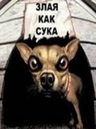 В аэропорту на Камчатке дебоширка покусала полицейских