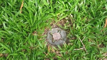 Тоже сразу похожая ассоциация появилась.