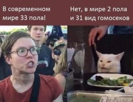 Политический мониторинг (531)