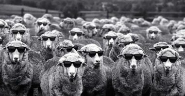 Это называется стадный инстинкт :goat: