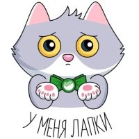 Как это нет пакета. А в чем мне нести? Я не могу в руках -