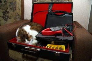 Мой кот Боня, делающий вид, что ему удобно