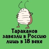 Автор, это рыжих тараканов (лат. Blattella germanica) к нам завезли в 18 веке, а до них у нас вполне себе жили черные тараканы (Blatta orientalis), которых прусаки успешно вытеснили