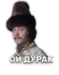 Мужчина освободил бродячих собак и навлёк на себя гнев людей