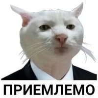 Скрины из соцсетей&nbsp;&nbsp;&nbsp;&nbsp;&nbsp;&nbsp;&nbsp;&nbsp;&nbsp;&nbsp;&nbsp;&nbsp;