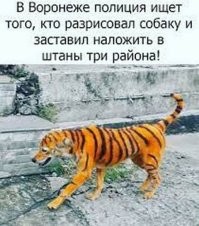 Зоопарк в Китае раскрасил собак, чтобы они были похожи на тигра