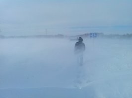 В Метель))) Метель, это когда снег горизонтально идёт, и попадая в глаз, тает уже на сетчатке. И температура окружающая, ощущается, как жидкий азот.  А 1 км по снежку без ветра с пустой сумочкой... пол России так на работу ходят зимой.